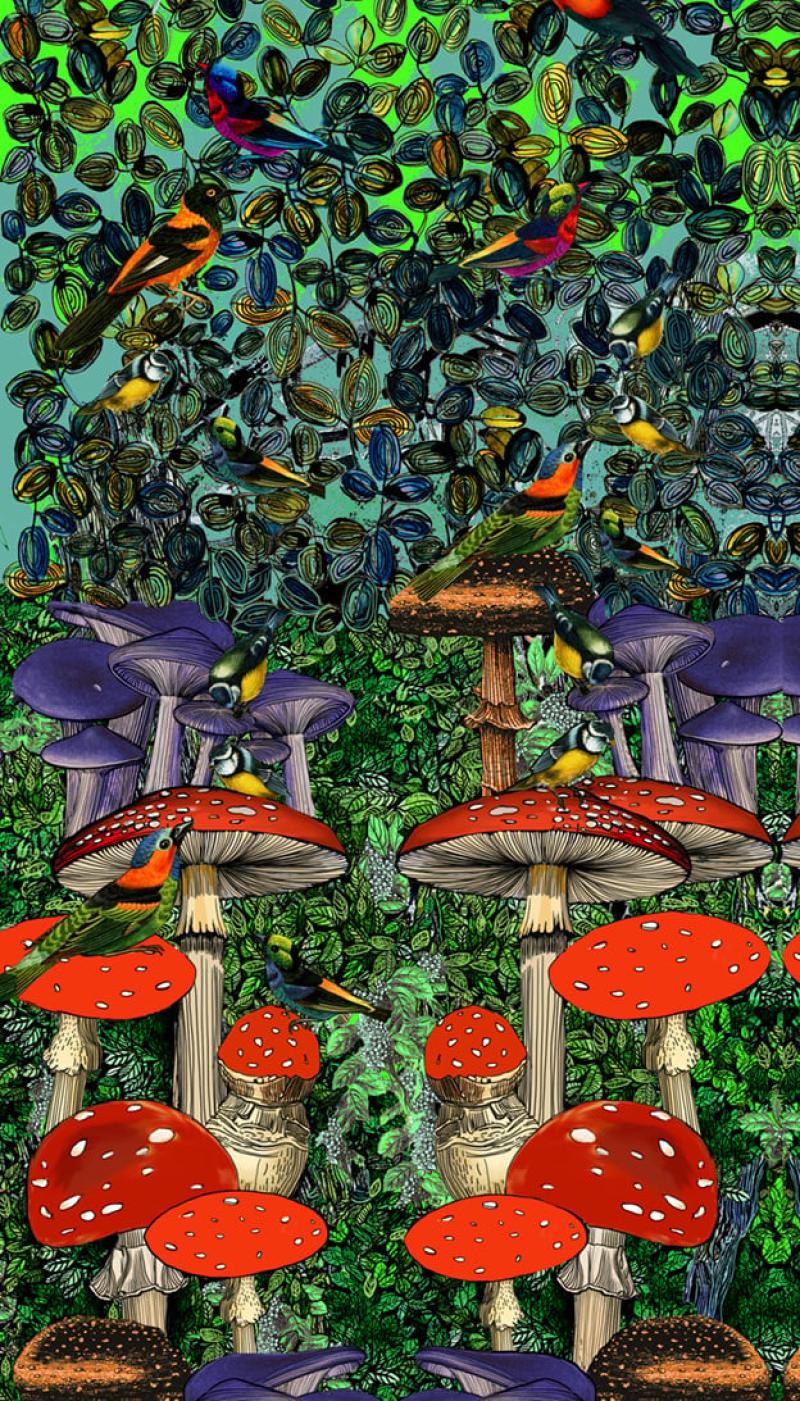 Fantaisie Bird - Marie Antoilette