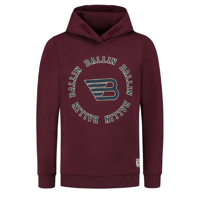 Hoodie With Frontprint 7311 - Ballin Amsterdam