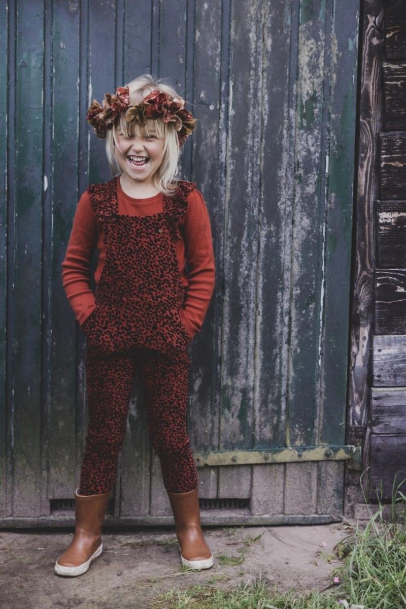 Little Pointel T-Shirt Longsleeve 7428 - LOOXS Little