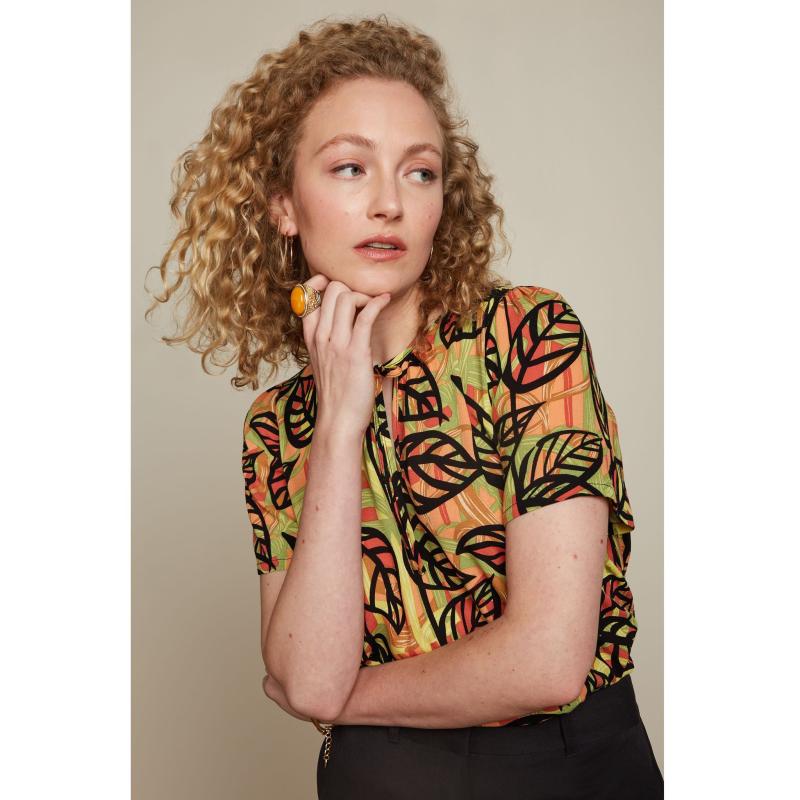 Izzy Top Parra - King Louie