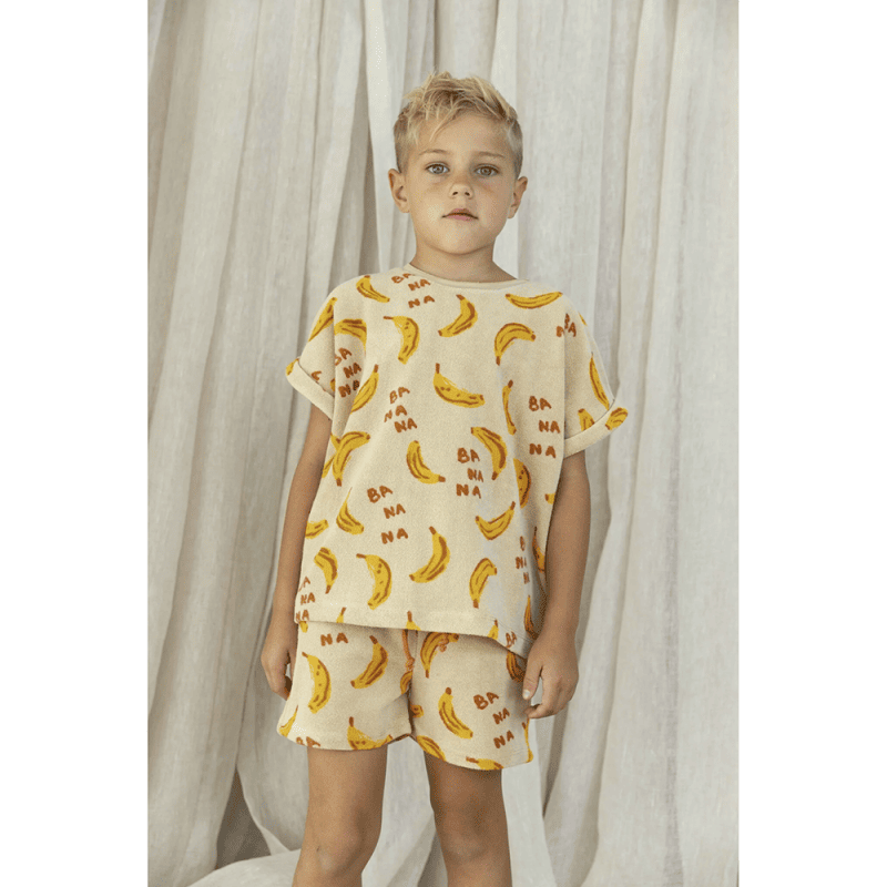 AM.Apollo.19 - Ammehoela