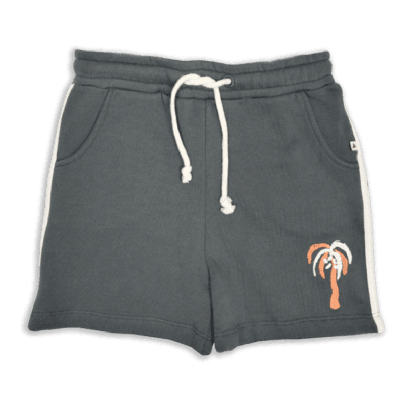 AM.Apollo.20 - Ammehoela