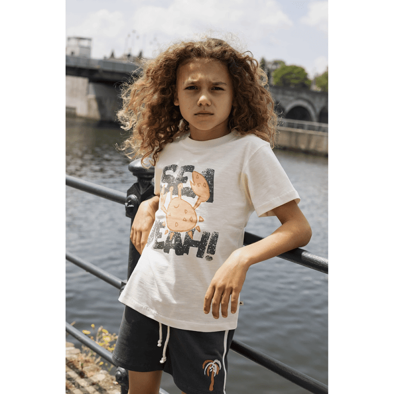 AM.Apollo.20 - Ammehoela