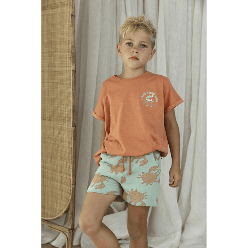 AM.Apollo.21 - Ammehoela