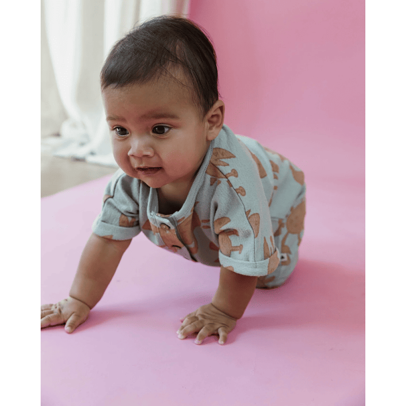 AM.Ezzi.16 - Ammehoela