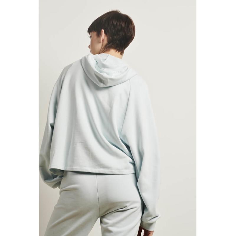 Soft Hoodie Logo 1 - Jane Lushka