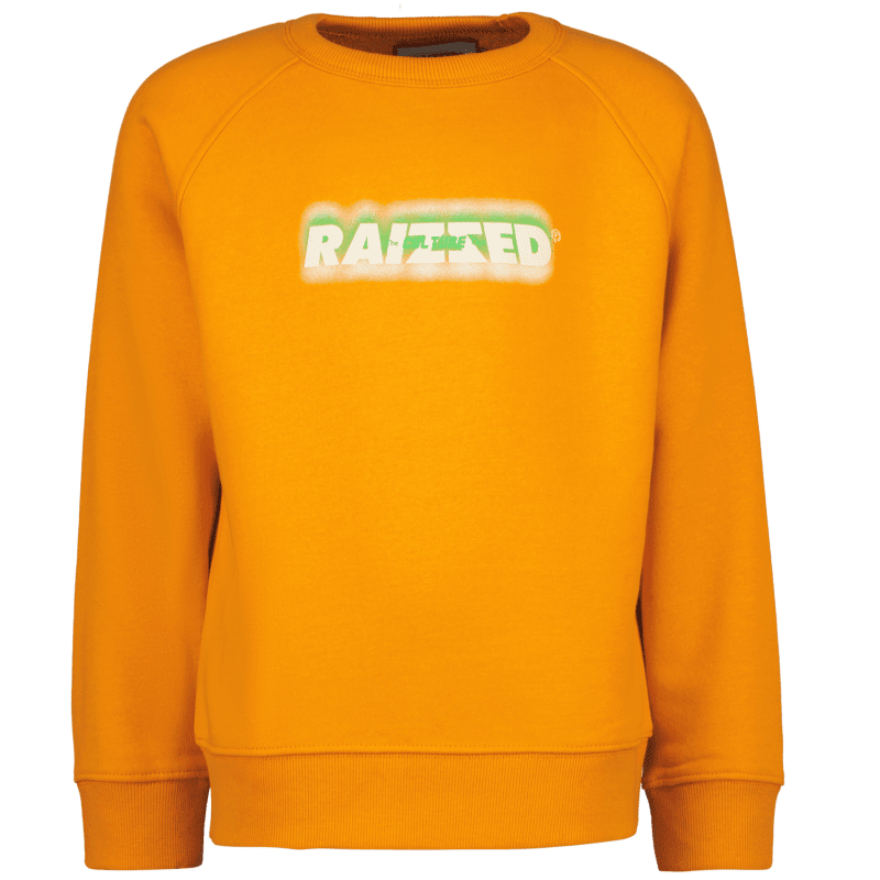 Jardy Boys Sweater - Raizzed Kids
