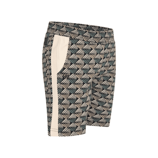 Boys Simply Falling Shorts - 4 Funky Flavours Kids - Alternatieve afbeelding