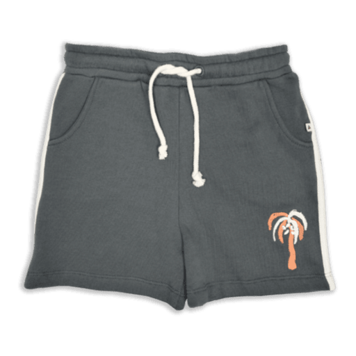 Ammehoela - AM.Apollo.20