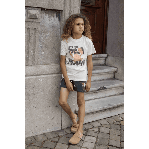 AM.Apollo.20 - Ammehoela - Alternatieve afbeelding