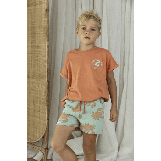 AM.Apollo.21 - Ammehoela - Alternatieve afbeelding