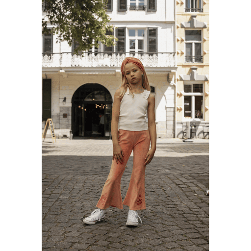 AM.Lizzo.02 - Ammehoela - Alternatieve afbeelding