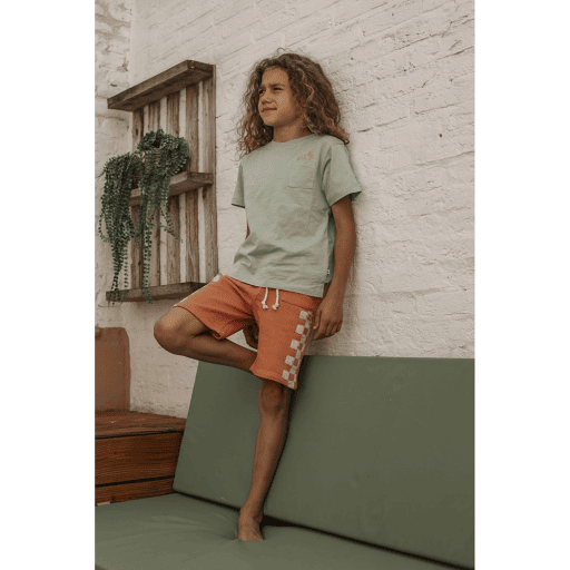 AM.Mase.12 - Ammehoela - Alternatieve afbeelding