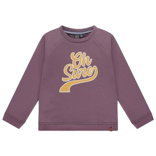 Babyface - Boys Sweatshirt 475