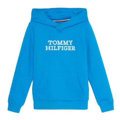 Tommy Hilfiger Kids - Tommy Hilfiger Logo Hoodie