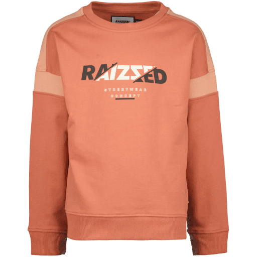 Raizzed Kids - Jamison Boys Sweater