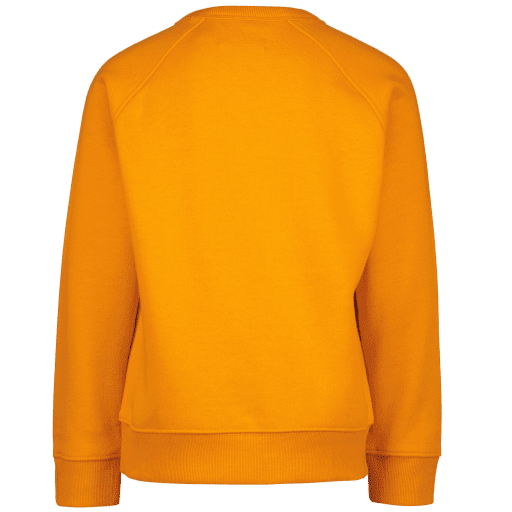 Jardy Boys Sweater - Raizzed Kids - Alternatieve afbeelding