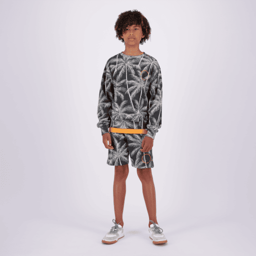 Nintas - Vingino - Alternatieve afbeelding